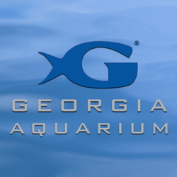 Georgia Aquarium Atrium Parade